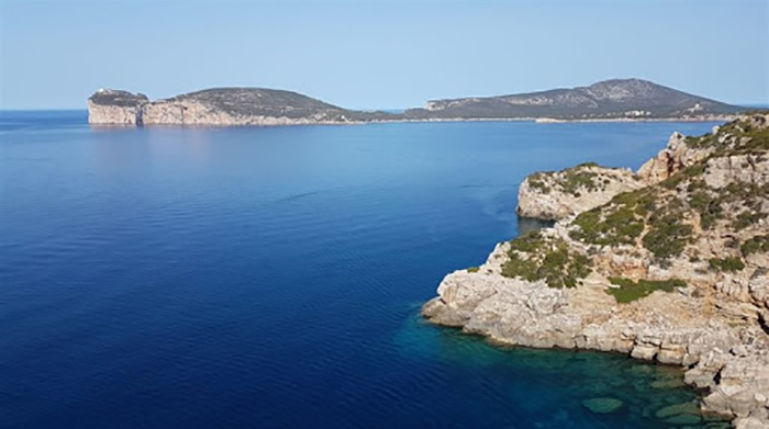 CAPO CACCIA